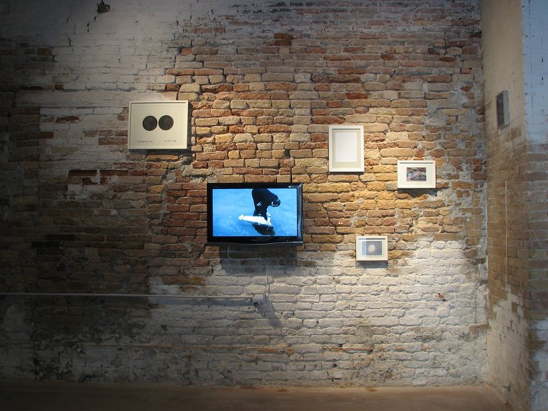 Room3_15_a_1.JPG - The Shape of HistoryItaly (Turin, Fiume Po), 27/10/2008Performance with Video Documentation: 15:00